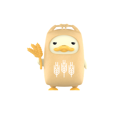 RICE SACK
