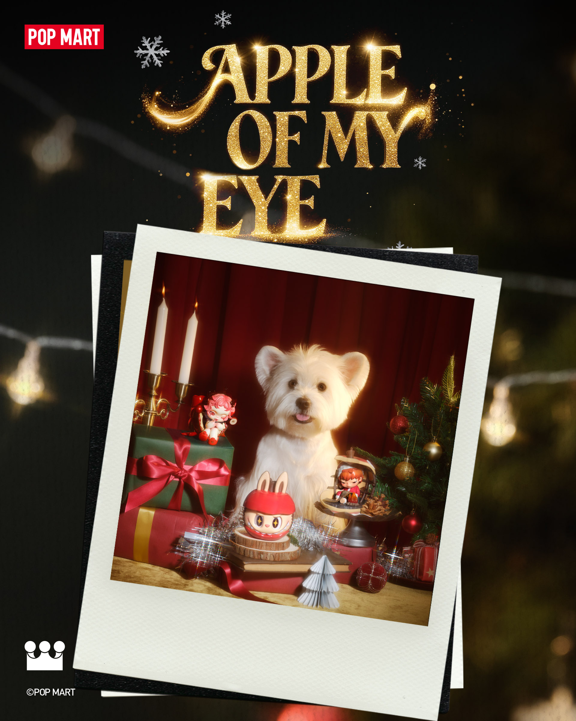 POP MART OFFICIAL (United States)